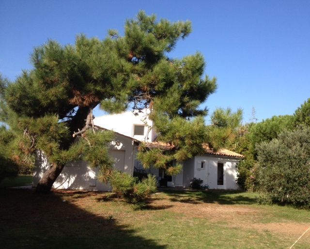 Photo 3 : NC d'une maison située à Sainte-Marie-de-Ré, île de Ré.