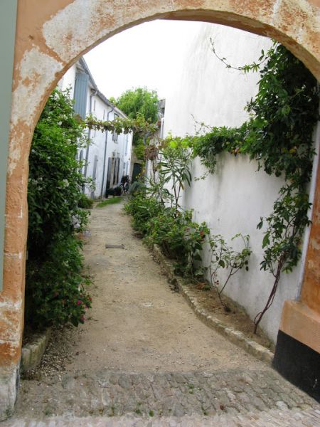 Photo 17 : ENTREE d'une maison située à Les Portes-en-Ré, île de Ré.