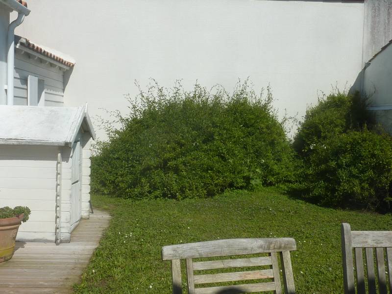 Photo 21 : NC d'une maison située à Sainte-Marie-de-Ré, île de Ré.
