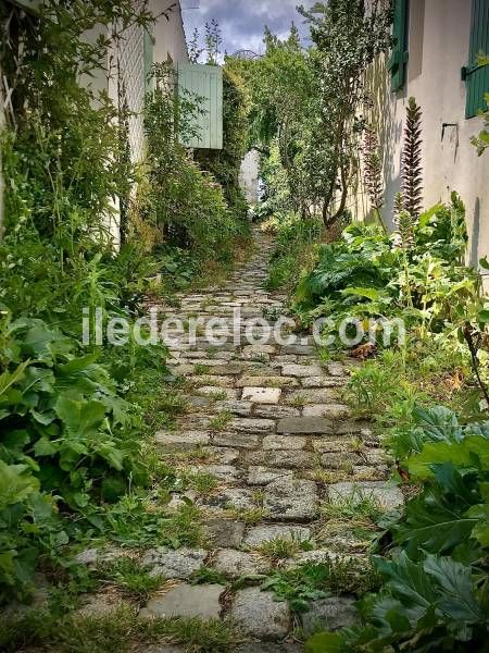 Photo 25 : NC d'une maison située à Saint-Martin-de-Ré, île de Ré.