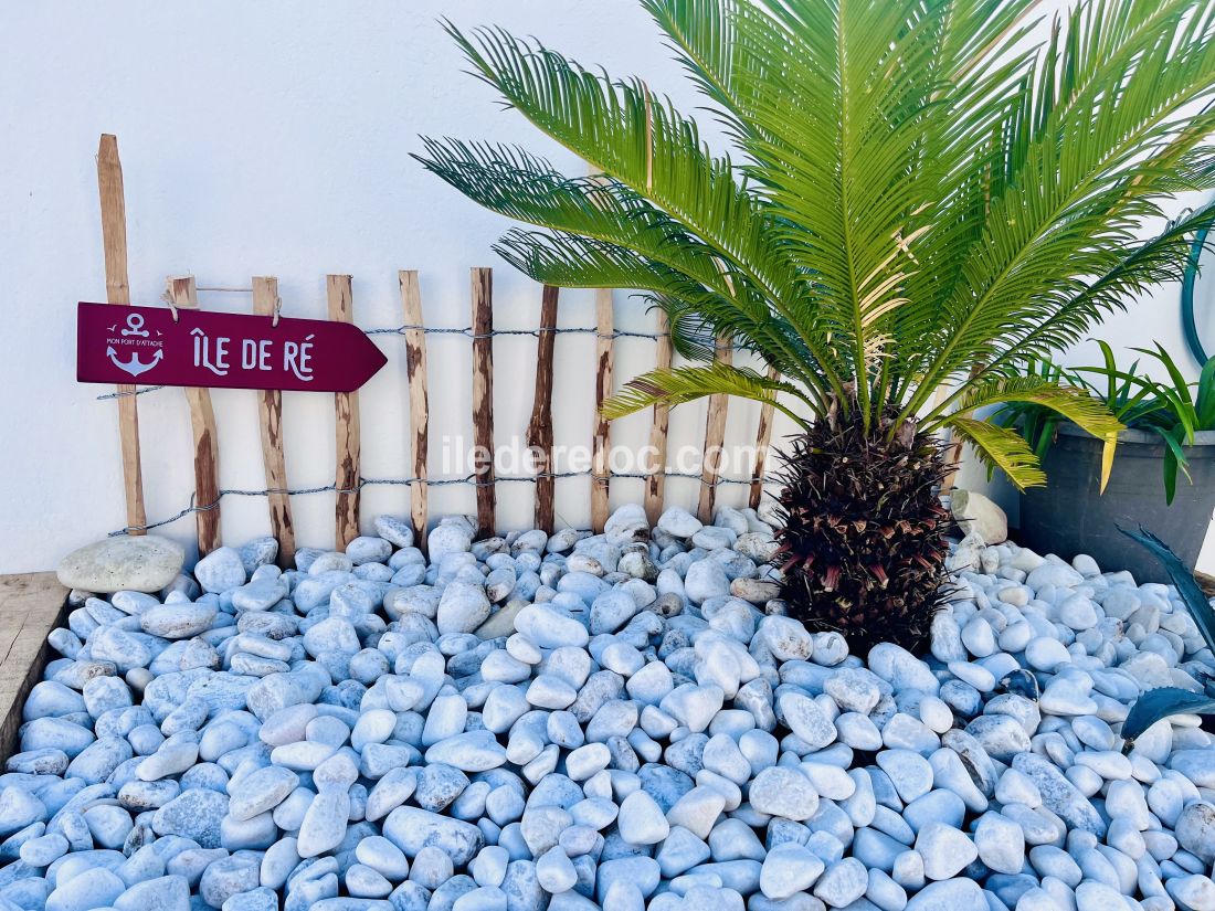 Photo 26 : TERRASSE d'une maison situ&eacute;e &agrave; Saint-Martin-de-R&eacute;, &icirc;le de R&eacute;.