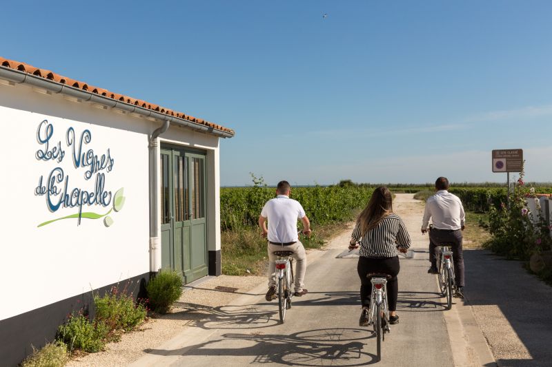 ile de Ré Les vignes de la chapelle****