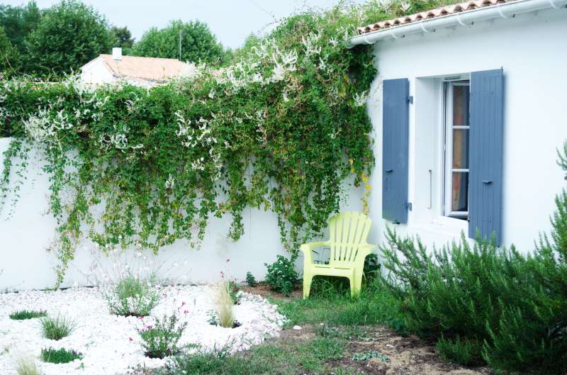 Photo 3 : JARDIN d'une maison située à Rivedoux-Plage, île de Ré.