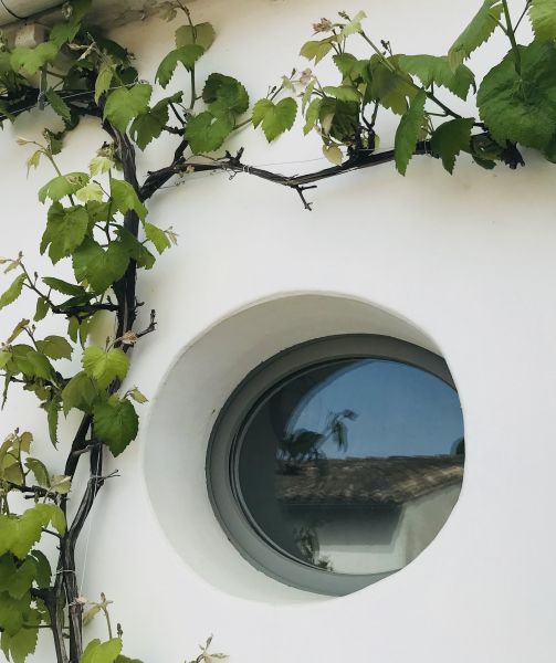 Photo 26 : NC d'une maison située à La Flotte-en-Ré, île de Ré.