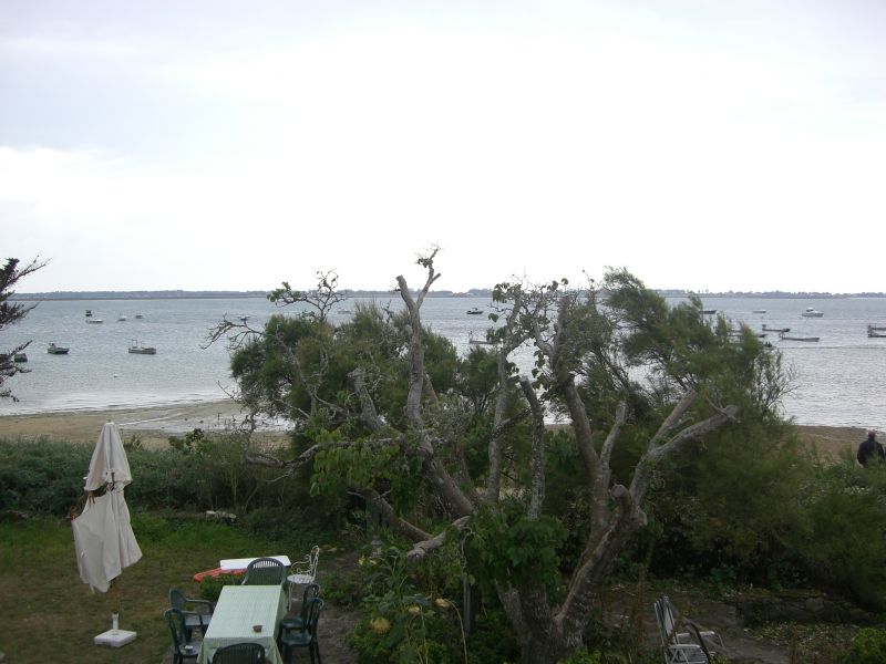 Photo 6 : NC d'une maison située à Les Portes-en-Ré, île de Ré.