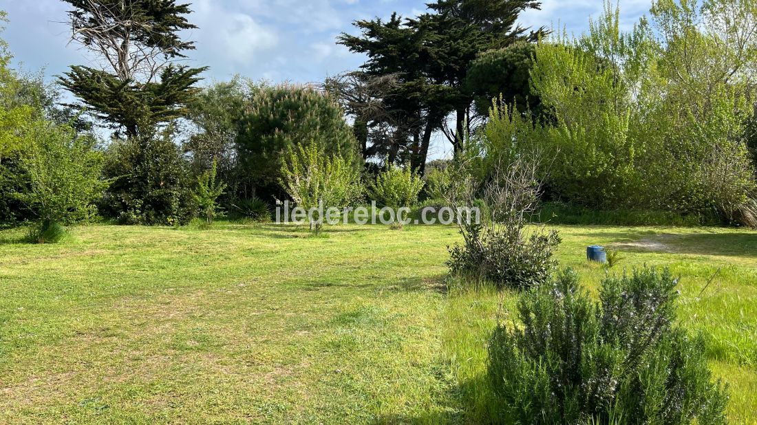 Photo 17 : JARDIN d'une maison situ&eacute;e &agrave; Les Portes-en-R&eacute;, &icirc;le de R&eacute;.