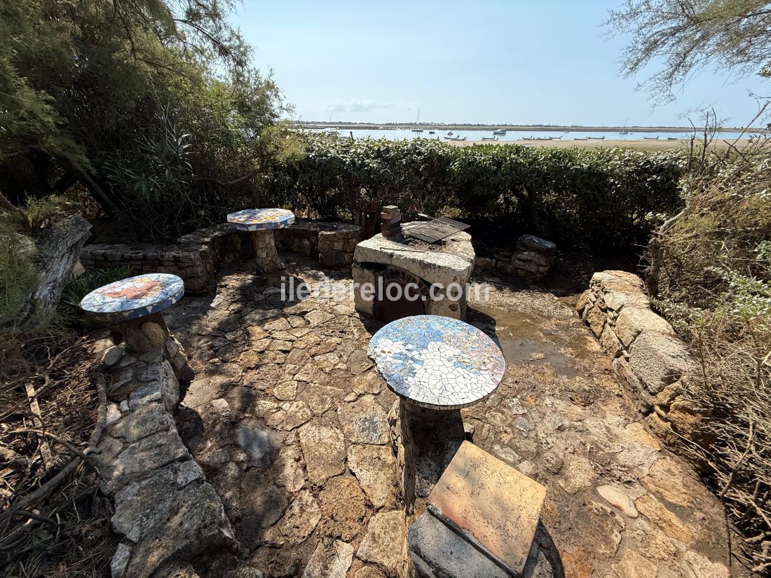 Photo 16 : JARDIN d'une maison situ&eacute;e &agrave; Les Portes-en-R&eacute;, &icirc;le de R&eacute;.