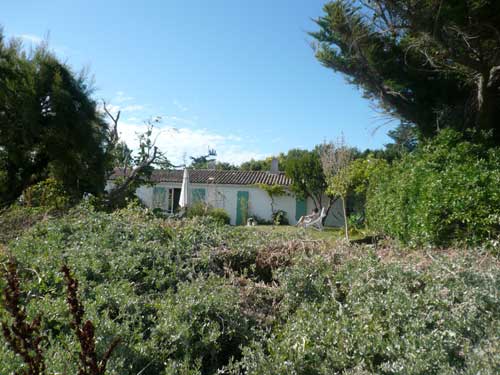 Photo 4 :  d'une maison située à Les Portes-en-Ré, île de Ré.