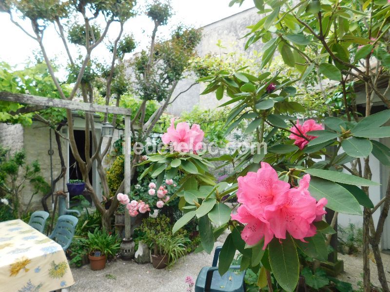 Photo 3 : NC d'une maison située à Sainte-Marie, île de Ré.