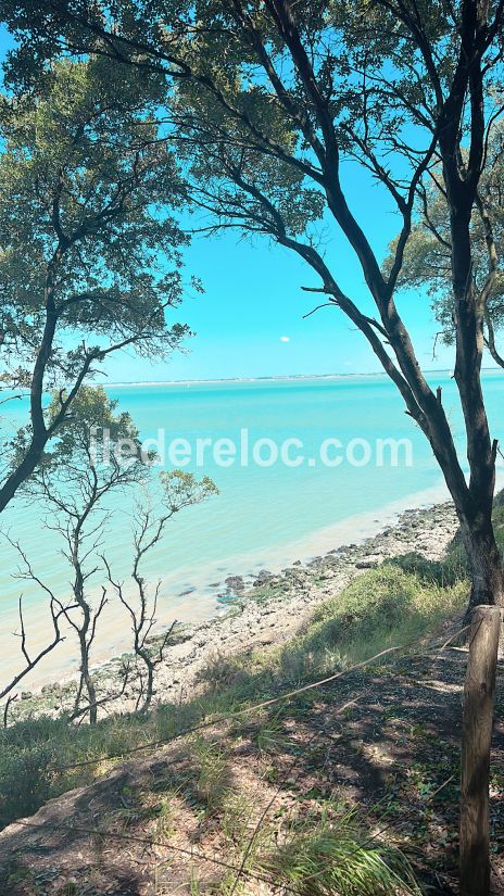 Photo 14 : NC d'une maison située à Rivedoux-Plage, île de Ré.