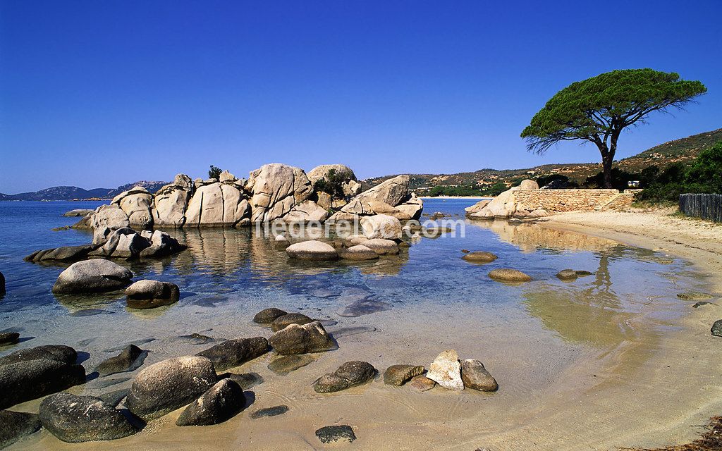 Photo 15 : NC d'une maison située à Rivedoux-Plage, île de Ré.