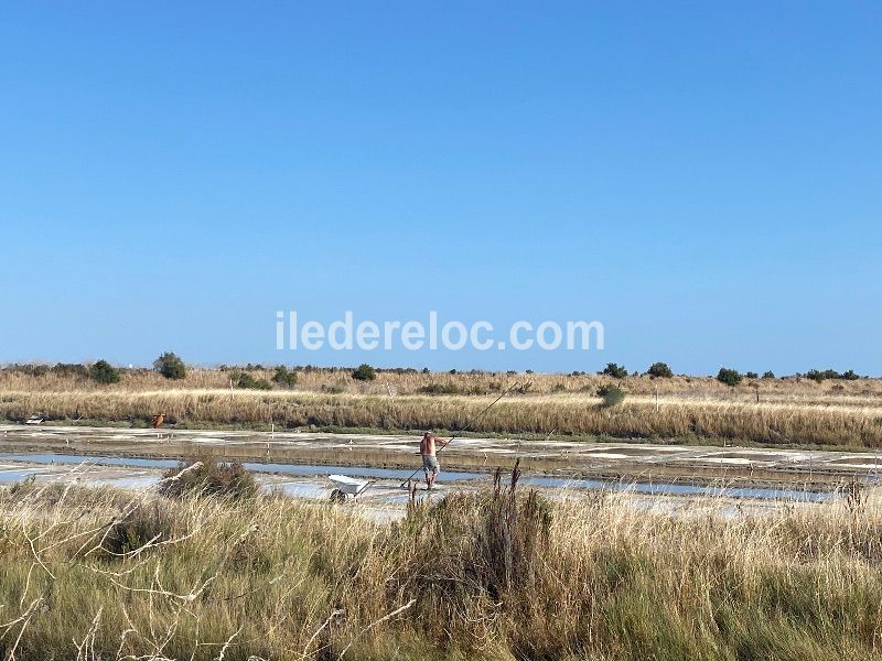 Photo 27 : NC d'une maison située à Saint-Clément-des-Baleines, île de Ré.