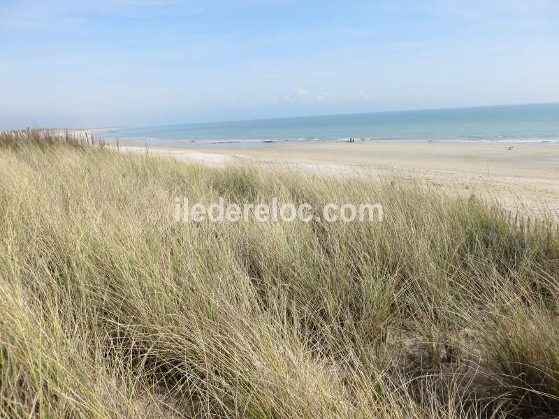 Photo 13 : EXTERIEUR d'une maison située à Le Bois-Plage-en-Ré, île de Ré.