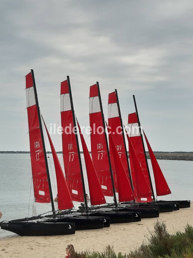 Photo 16 : AUTRE d'une maison situ&eacute;e &agrave; Le Bois-Plage-en-R&eacute;, &icirc;le de R&eacute;.