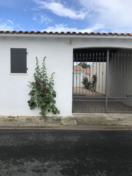 Photo 36 : NC d'une maison située à La Couarde, île de Ré.