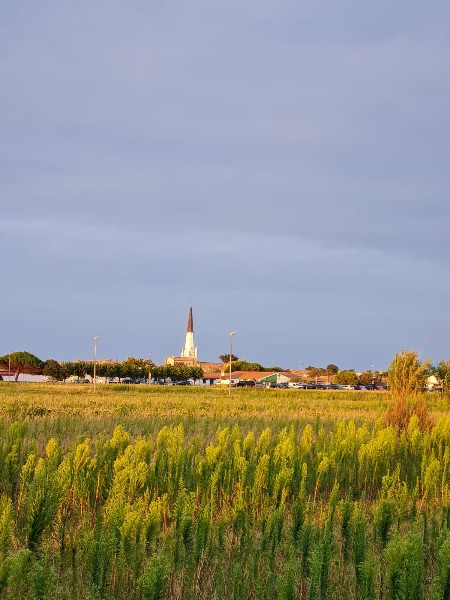 Photo 9 : NC d'une maison située à Ars en Ré, île de Ré.