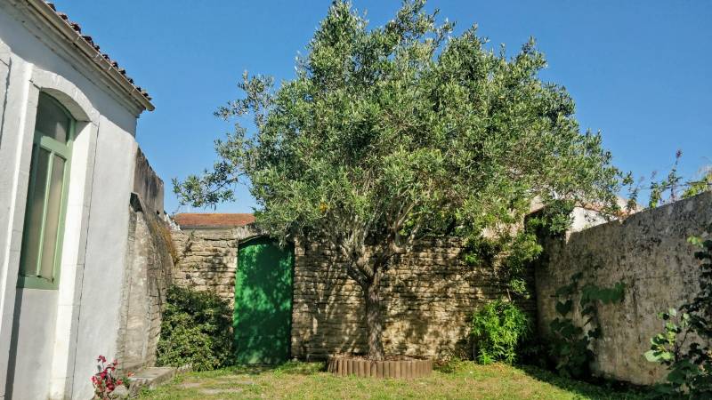 Photo 3 : JARDIN d'une maison située à Les Portes-en-Ré, île de Ré.