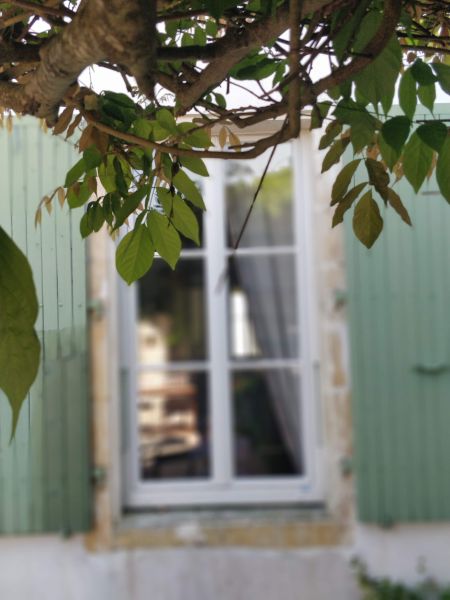 Photo 49 : NC d'une maison située à Les Portes-en-Ré, île de Ré.