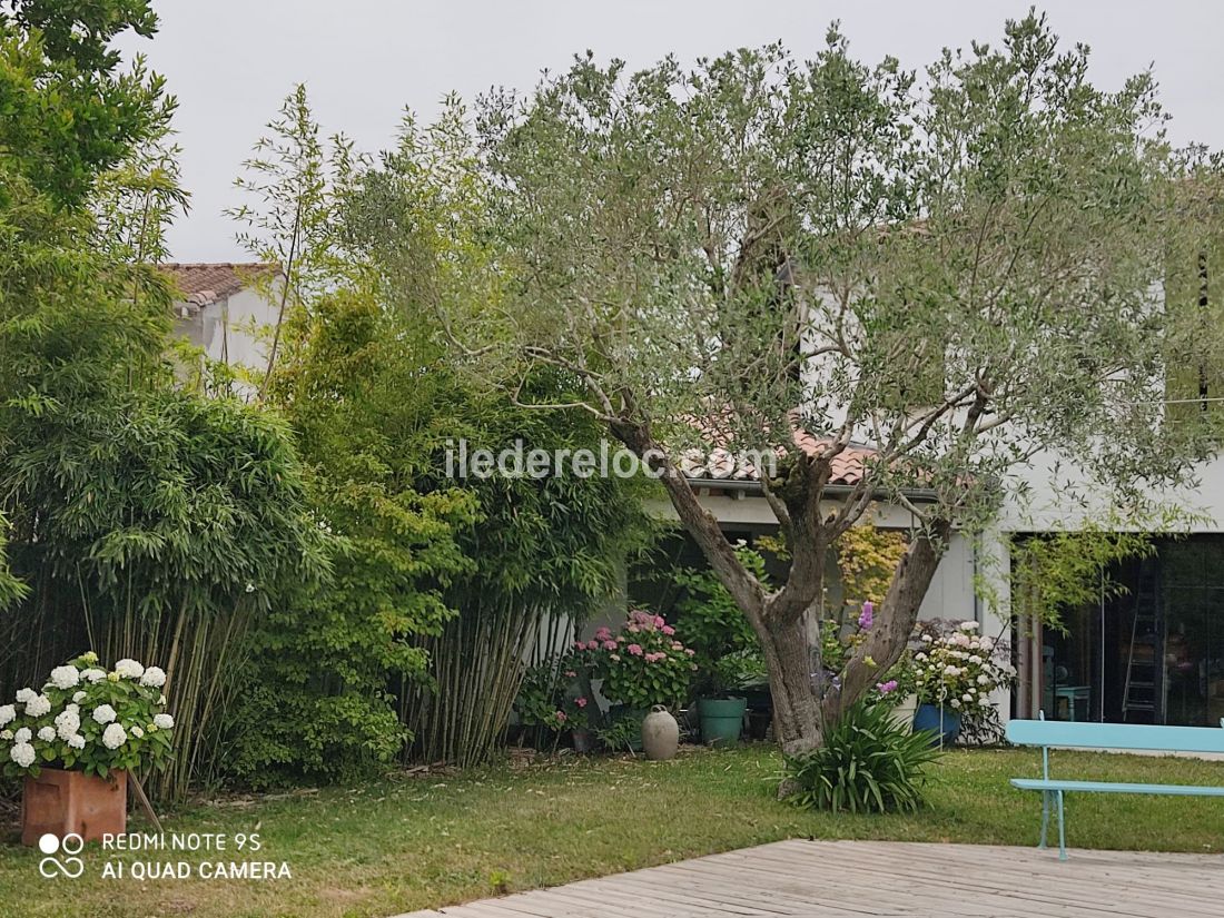 Photo 23 : NC d'une maison située à La Flotte-en-Ré, île de Ré.