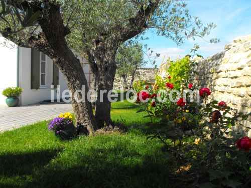 Photo 5 : JARDIN d'une maison située à La Flotte-en-Ré, île de Ré.