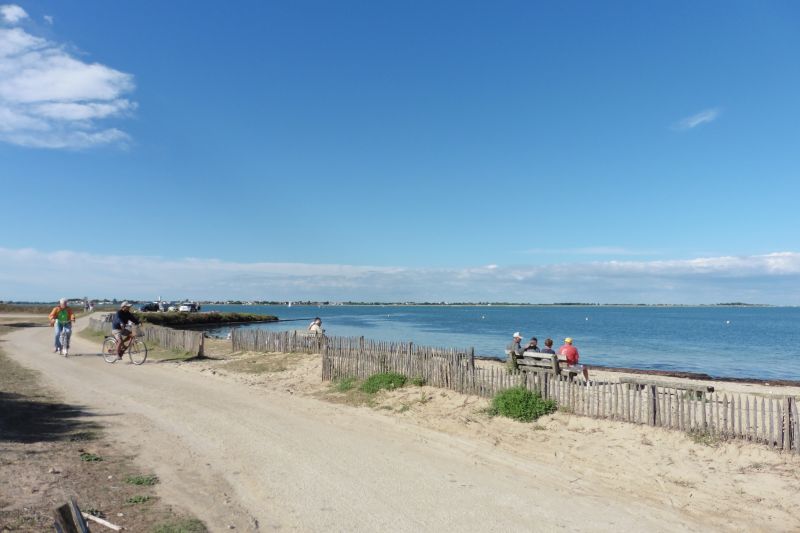 Photo 23 : EXTERIEUR d'une maison située à La Couarde-sur-mer, île de Ré.