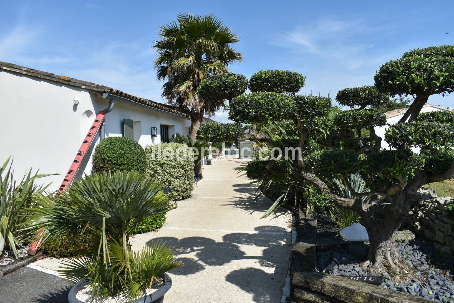 Photo 49 : JARDIN d'une maison située à Sainte-Marie, île de Ré.