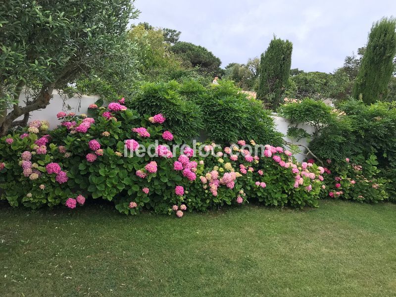 Photo 3 : NC d'une maison située à Les Portes-en-Ré, île de Ré.