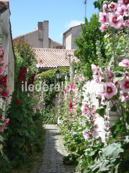 Photo 12 : NC d'une maison située à Saint-Martin-de-Ré, île de Ré.