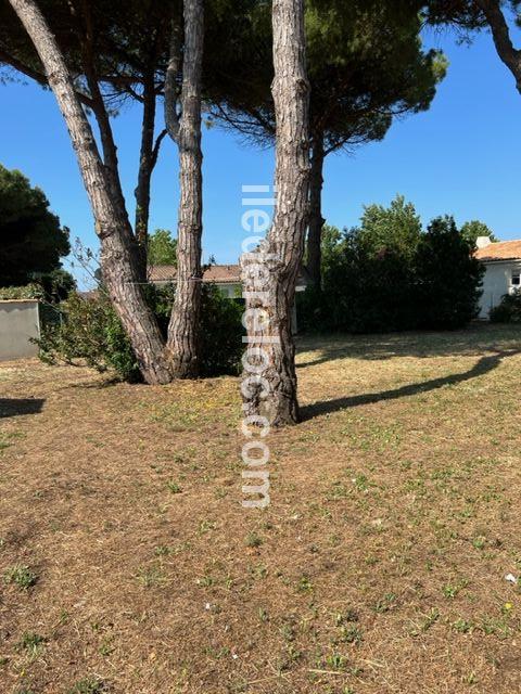 Photo 18 : EXTERIEUR d'une maison située à Le Bois-Plage-en-Ré, île de Ré.