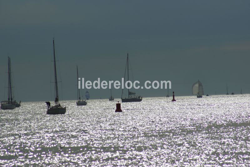 Photo 21 : NC d'une maison située à Le Bois-Plage-en-Ré, île de Ré.