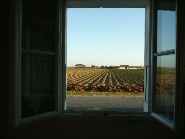 Photo 6 : EXTERIEUR d'une maison située à Sainte-Marie-de-Ré, île de Ré.