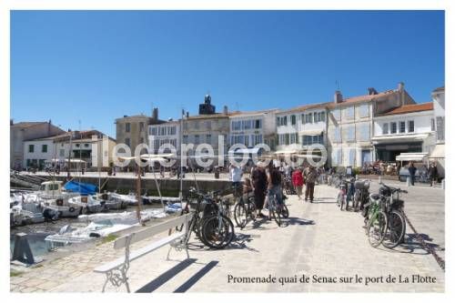 Photo 10 : NC d'une maison située à La Flotte-en-Ré, île de Ré.