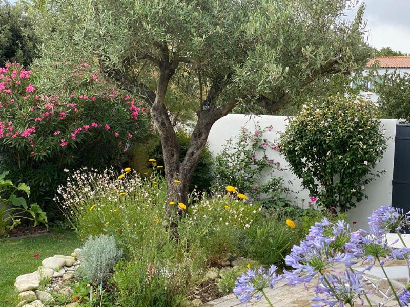 Photo 20 : JARDIN d'une maison située à Saint-Martin-de-Ré, île de Ré.