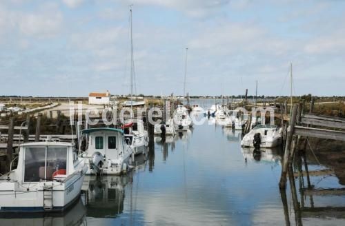 Photo 10 : NC d'une maison située à La Couarde, île de Ré.