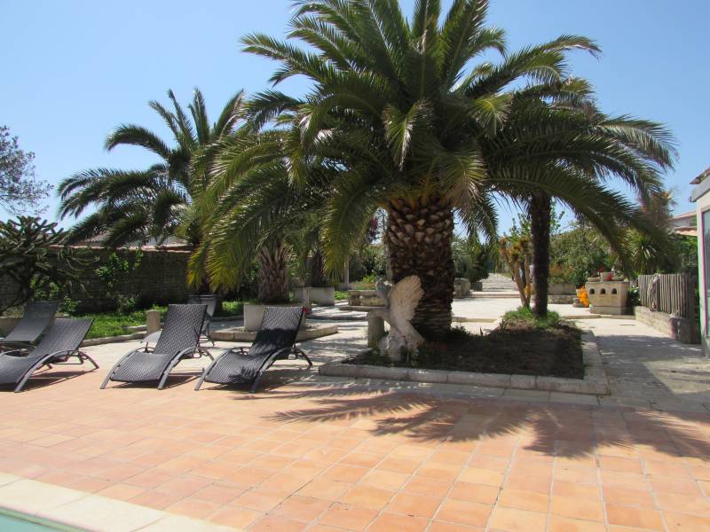 Photo 6 : JARDIN d'une maison située à La Flotte-en-Ré, île de Ré.