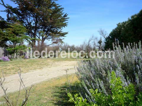 Photo 2 :  d'une maison située à Les Portes-en-Ré, île de Ré.