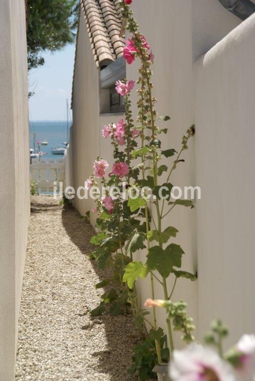 Photo 12 : AUTRE d'une maison situ&eacute;e &agrave; Rivedoux-Plage, &icirc;le de R&eacute;.