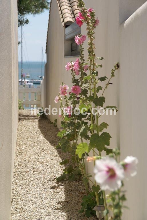 Photo 13 : AUTRE d'une maison situ&eacute;e &agrave; Rivedoux-Plage, &icirc;le de R&eacute;.