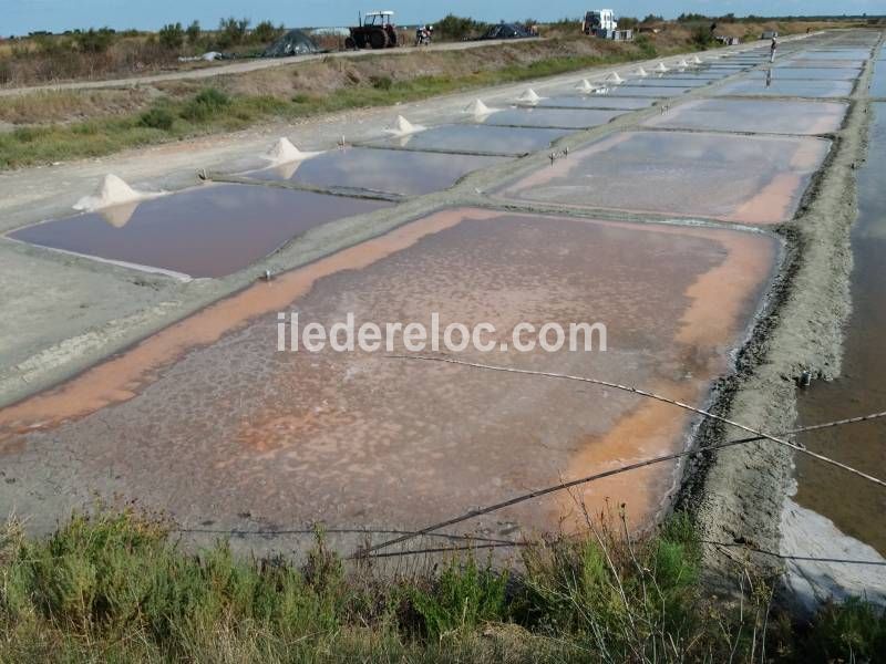 Photo 21 : NC d'une maison située à La Couarde-sur-mer, île de Ré.