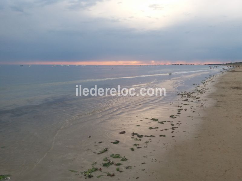 Photo 15 : EXTERIEUR d'une maison située à La Couarde-sur-mer, île de Ré.