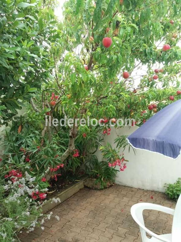 Photo 12 : PATIO d'une maison située à La Couarde-sur-mer, île de Ré.