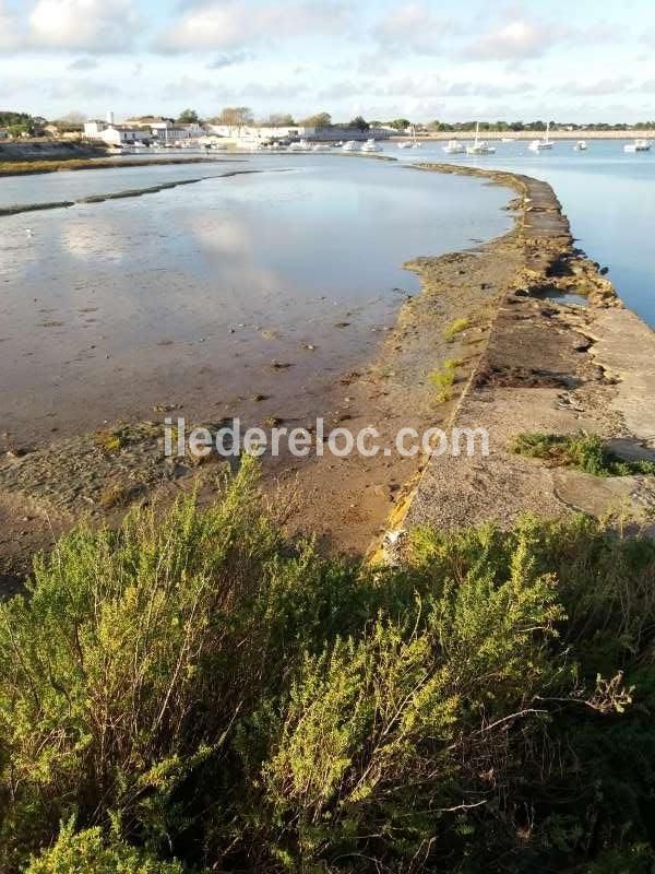 Photo 20 : NC d'une maison située à La Couarde-sur-mer, île de Ré.