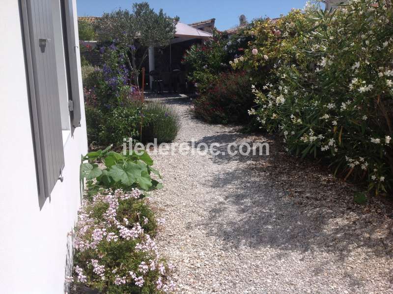 Photo 15 : NC d'une maison située à La Couarde-sur-mer, île de Ré.