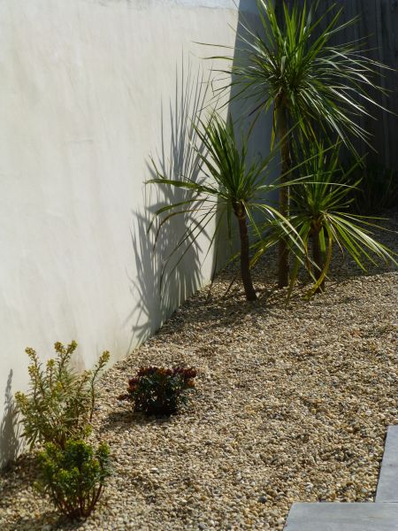 Photo 15 : NC d'une maison située à La Couarde-sur-mer, île de Ré.