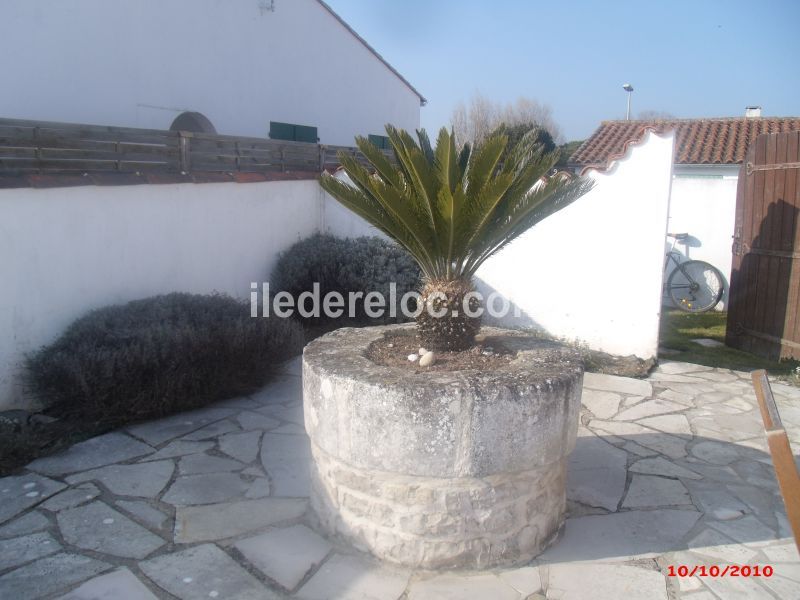 Photo 29 : JARDIN d'une maison située à Sainte-Marie-de-Ré, île de Ré.