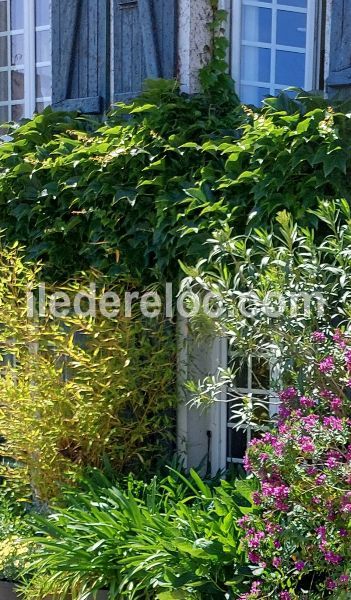 Photo 65 : EXTERIEUR d'une maison située à La Couarde-sur-mer, île de Ré.
