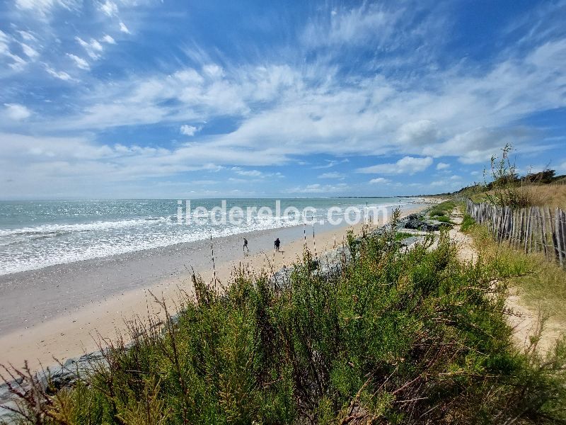 Photo 39 : EXTERIEUR d'une maison située à La Couarde-sur-mer, île de Ré.