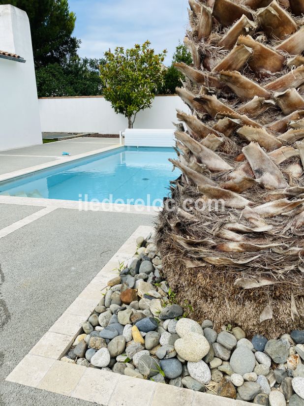 Photo 2 : PISCINE d'une maison située à La Flotte, île de Ré.