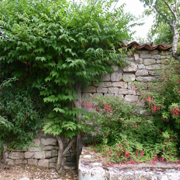 Photo 16 : JARDIN d'une maison située à Sainte-Marie-de-Ré, île de Ré.