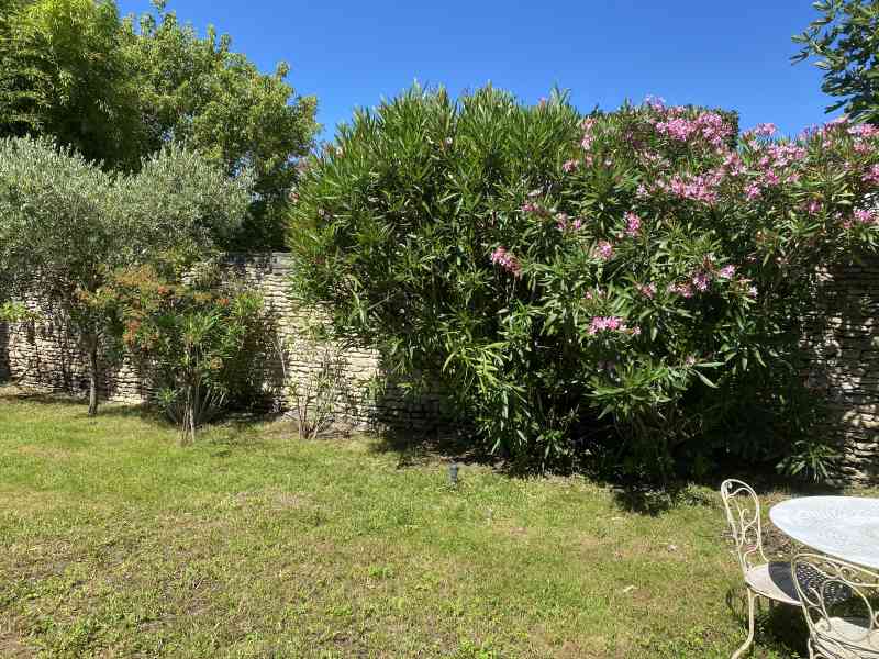 Photo 7 : JARDIN d'une maison située à Les Portes, île de Ré.